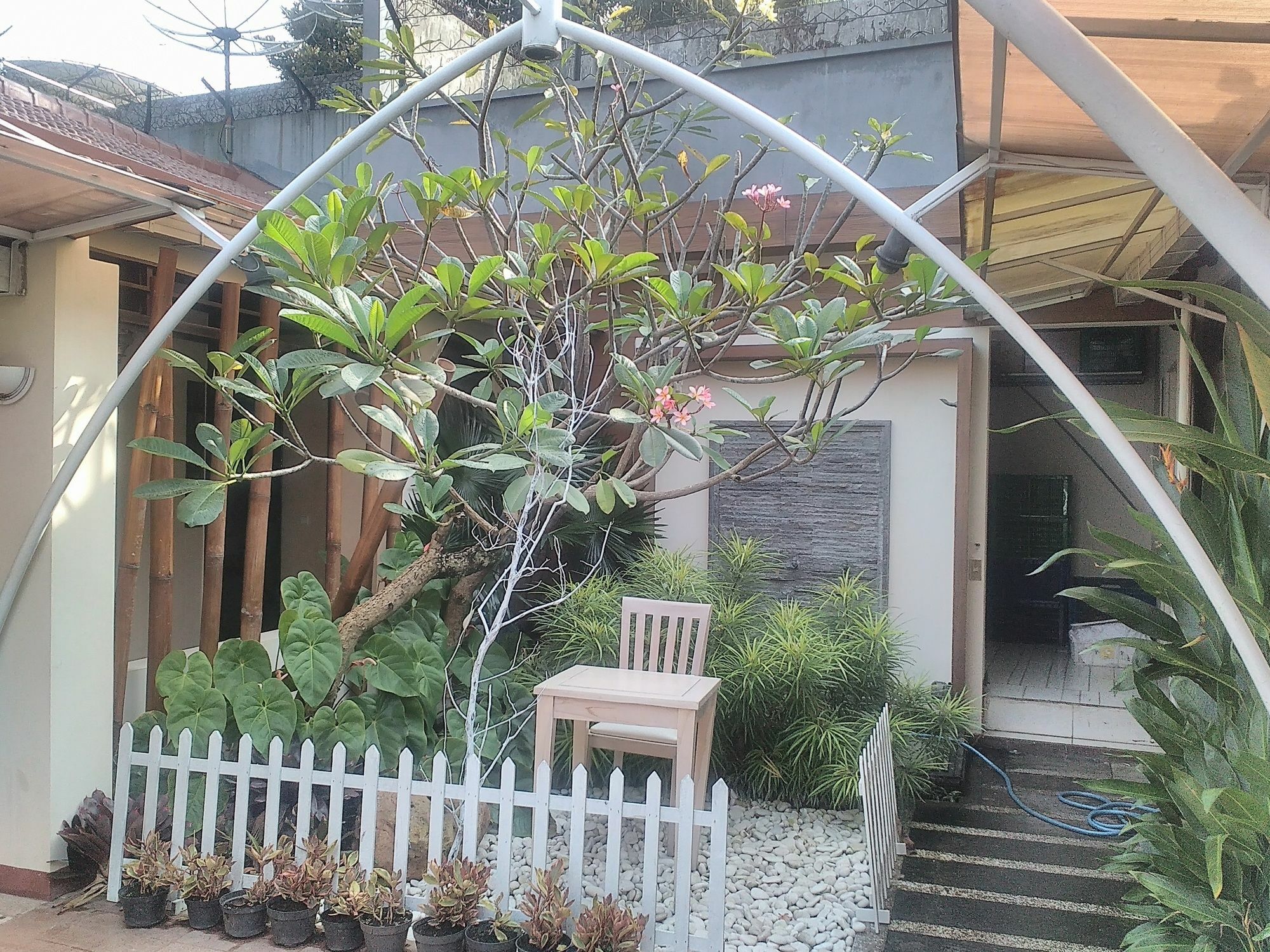 Lovender Guesthouse Malang Extérieur photo