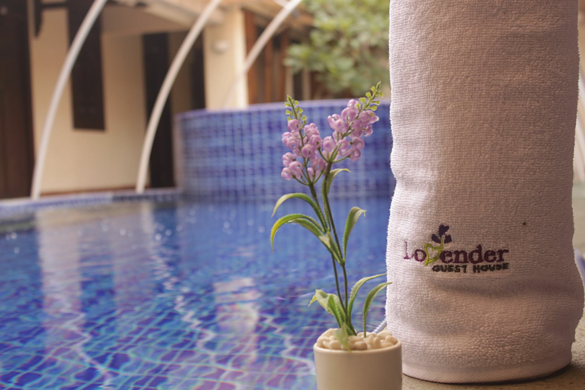 Lovender Guesthouse Malang Extérieur photo